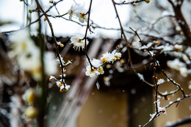 完成压迫